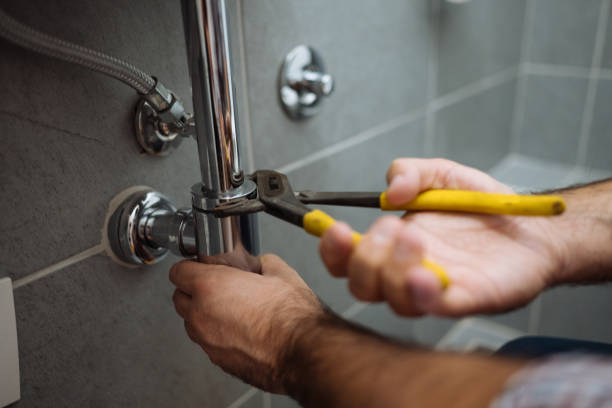 Best Plumbing Services Near Me  in Andover, MN